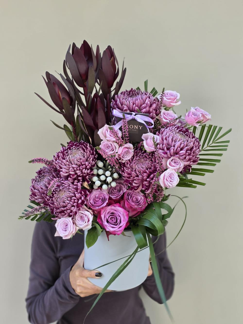 Velvet Plum Melody 
